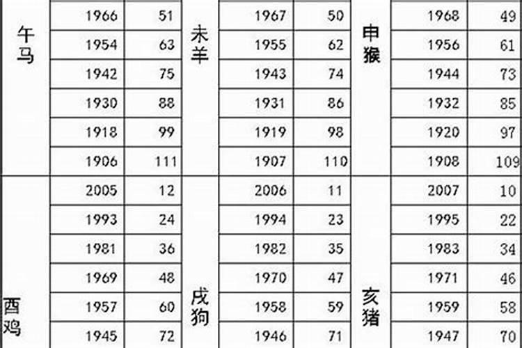 55岁属什么生肖今年多大