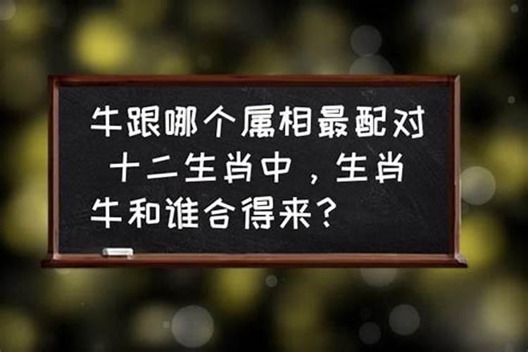 属猴的是哪年出生的人今年几岁