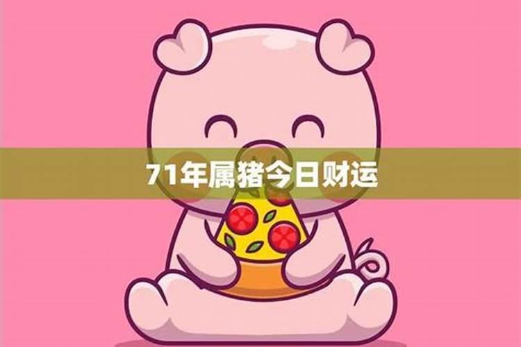 71属猪今日运势查询