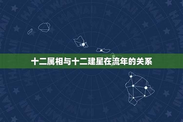 十二生肖跟星座有什么关系