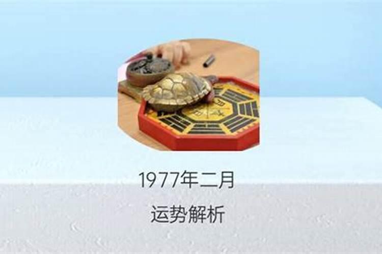 72年农历二月初七命运