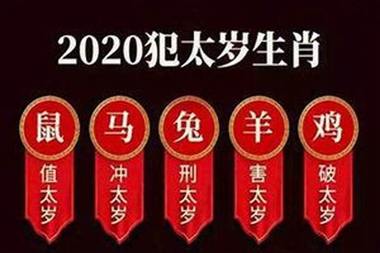 属猪人2024运势大全及破解方法