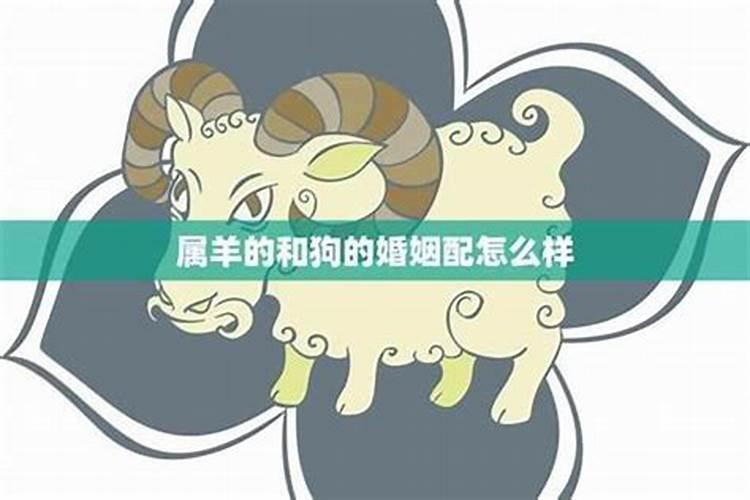 属虎本命年戴什么金首饰