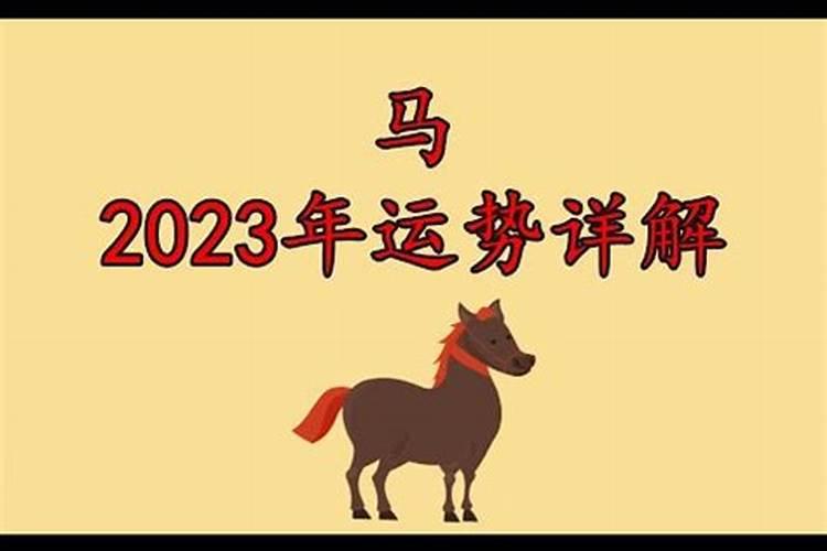 属马的2023年犯太岁吗解忧八字命理怎么样