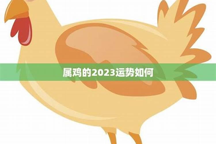 属鸡的2023运程