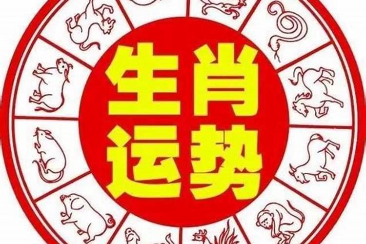 富人最多的4个生肖