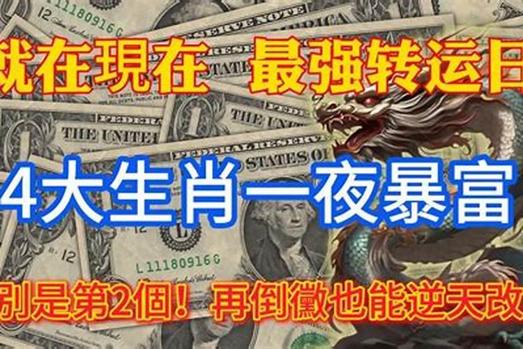 2021年暴富的生肖