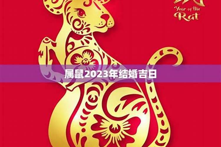 2023年属鼠几月份可以结婚