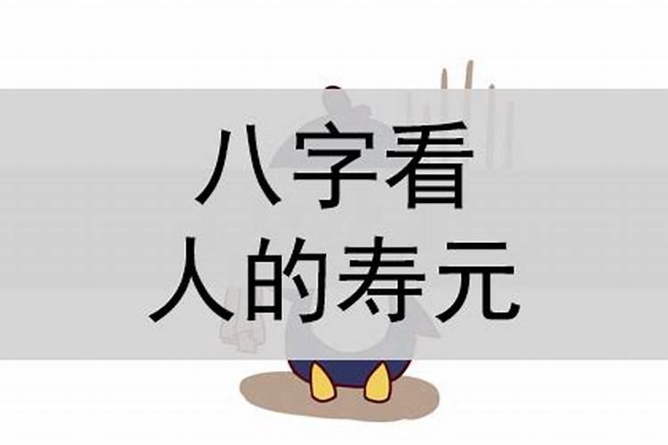 八字排盘寿元怎么看