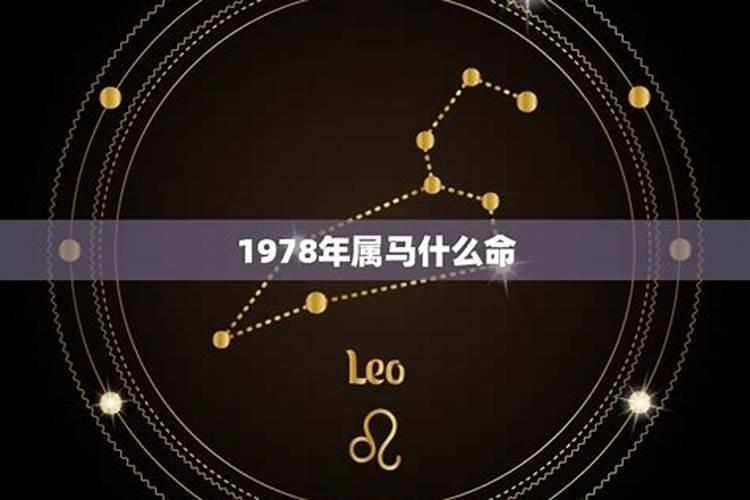 1978属马年的是什么命