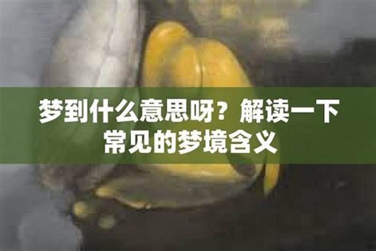 梦见周公含义