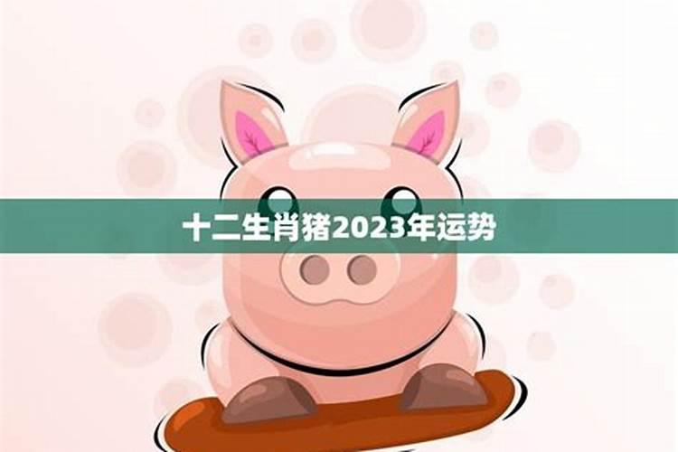 生肖猪2023年运势财运