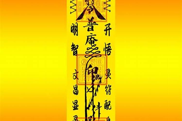 40岁今年属什么属相