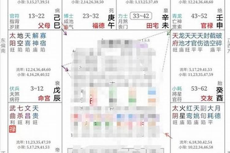 龙生肖在2024运程如何