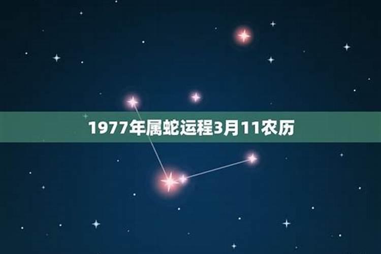 1977年属蛇的在2021年的运势