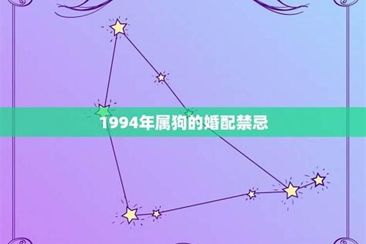 1994年属狗与属狗婚配如何