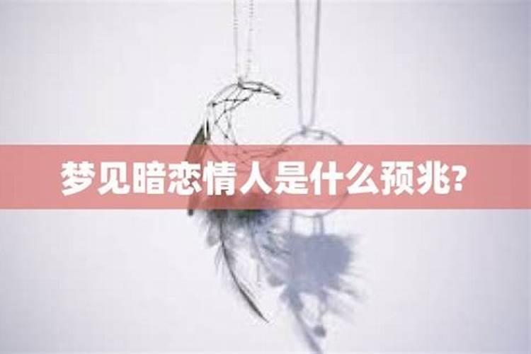 梦见女人进我家偷东西什么意思