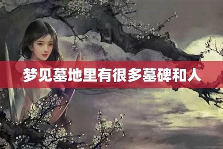 红梅花代表什么生肖