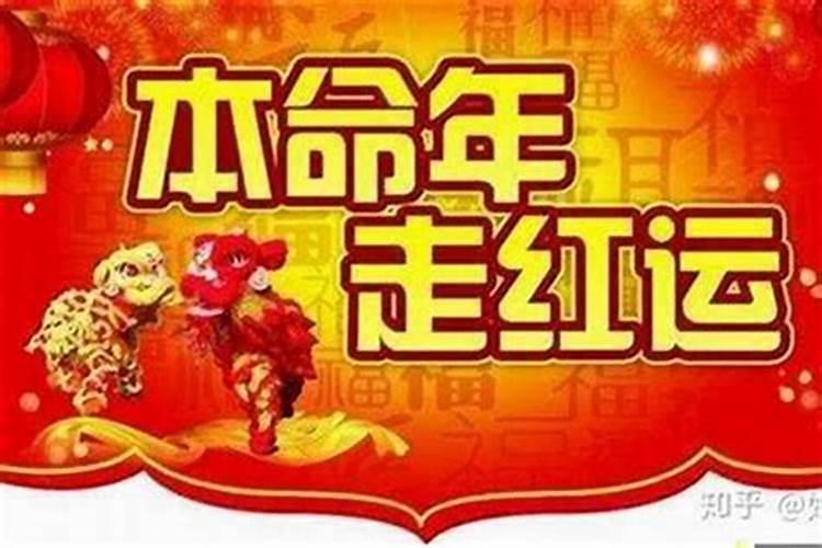 今年是属什么生肖2024年运势