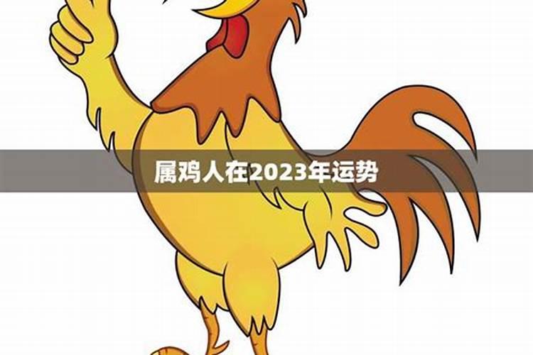 属鸡2023立春转运