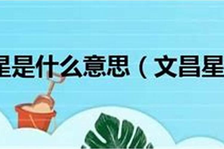 农历5月1日是什么星座的