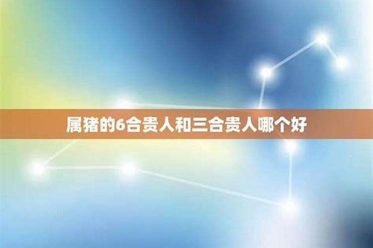 十二生肖的三合贵人和6合贵人属相相冲