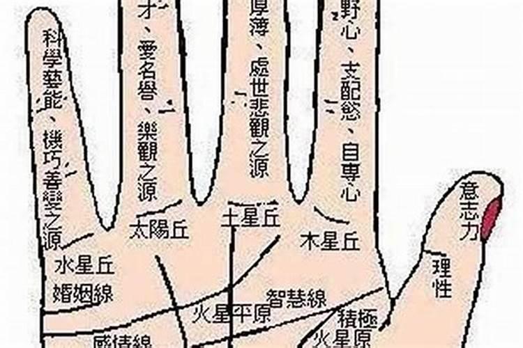 2022年本命年属虎结婚的吉日是什么意思啊女孩