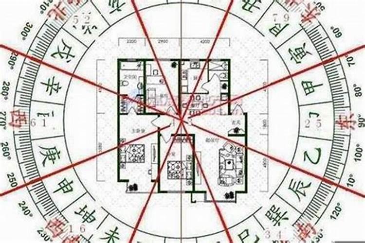 2021年生肖马爱情运势那个月份能脱单