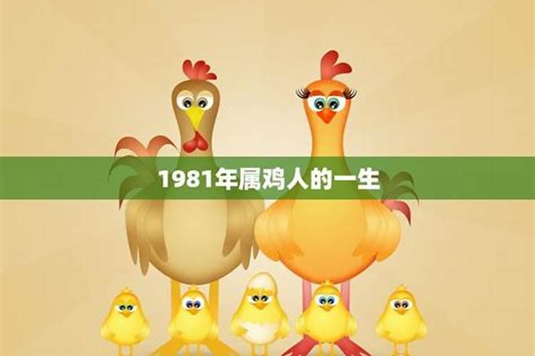 1981年出生属鸡人的运势及运程