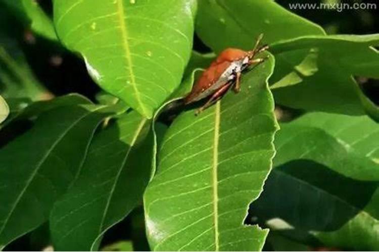 我在19岁就知道婚姻不顺怎么办