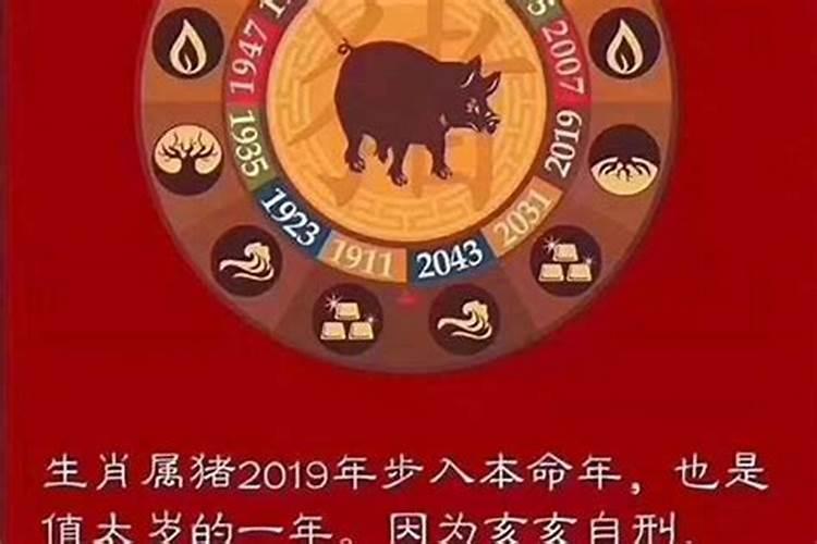 2022年犯太岁的生肖兔如何化解