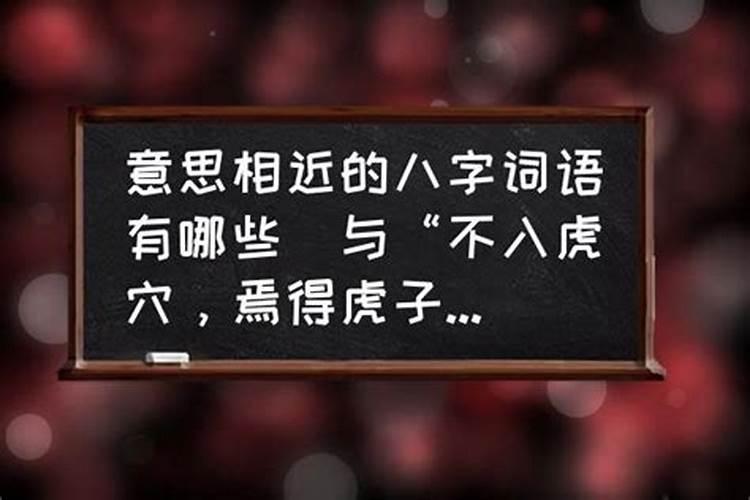 2000年属龙的最佳婚配属相是什么意思