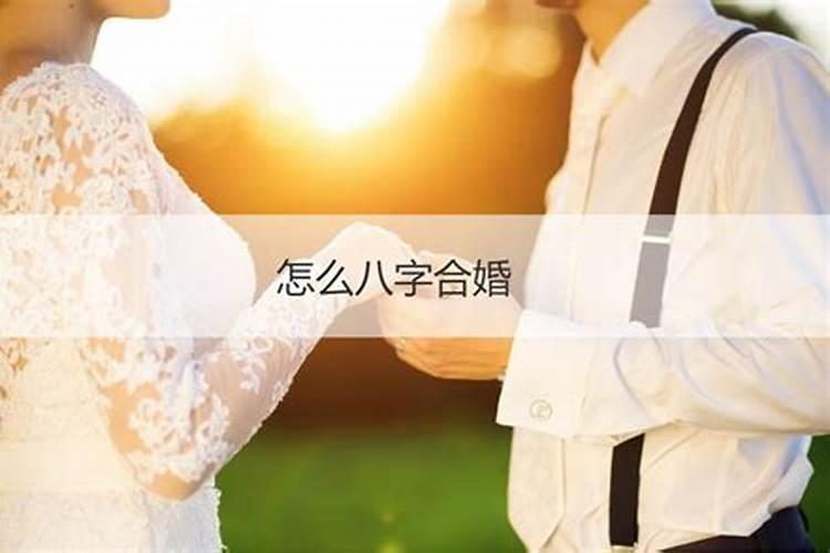 女属狗男属鼠婚姻好吗