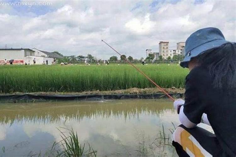 梦见别人要钓鱼一钓就上钩