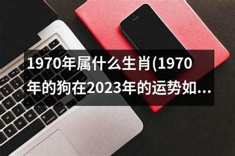 狗在2023年的运势如何