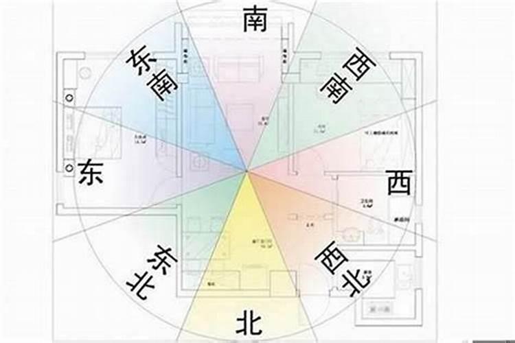 属鸡2021年感情运势如何呢