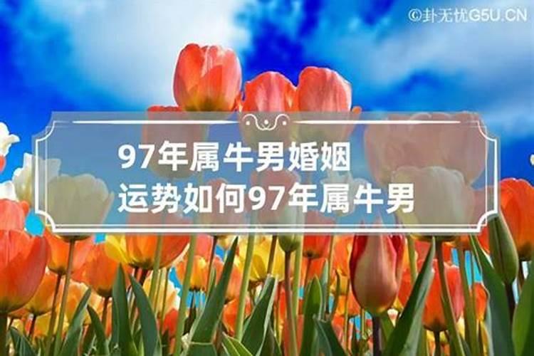 87年属兔的2023年运程和运势如何