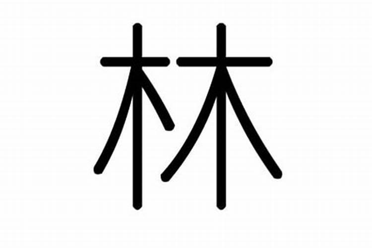 林字属于五行属什么关系