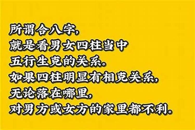 78年马和猴属相合不合