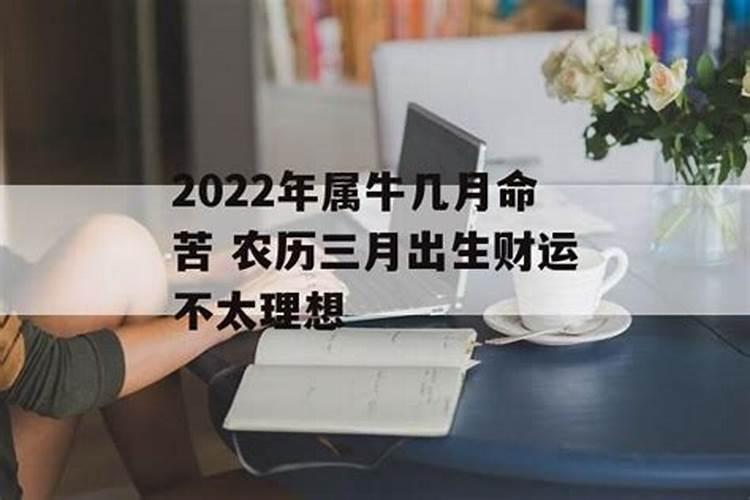 十二生肖2023年运势怎么样