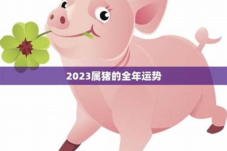 2023年属猪运势如何