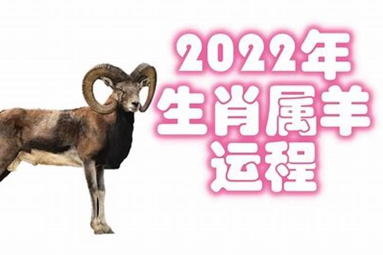 属羊2022年怎么样