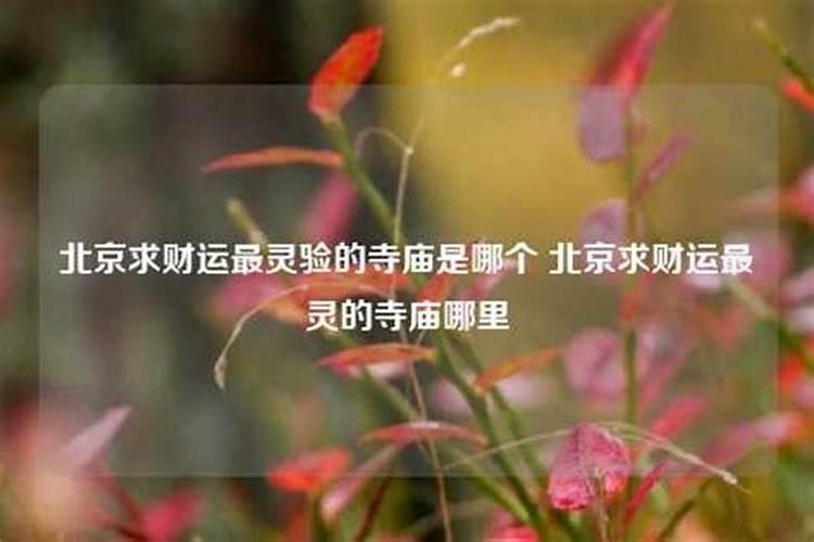 女人梦到龙在地上跑是什么意思啊