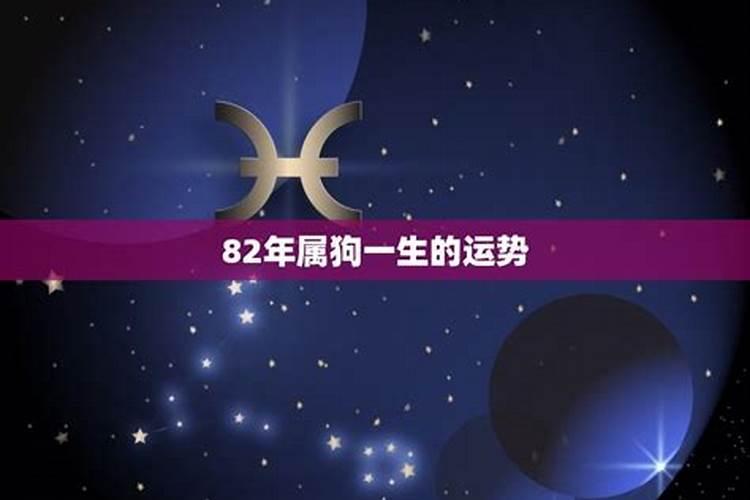 属鼠女性在2023年的运势怎么样呀