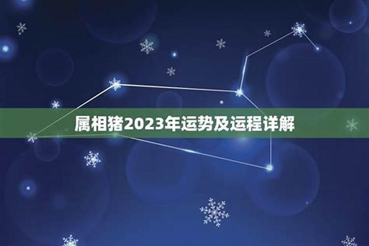 2023年猪运势及运程