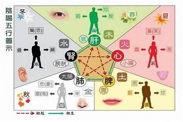 双鱼男和金牛男的区别