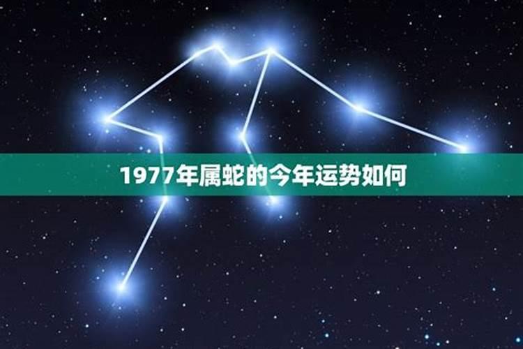 十二生肖2024年运势大全