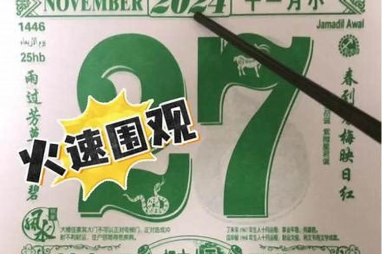 属羊的29岁是哪年出生