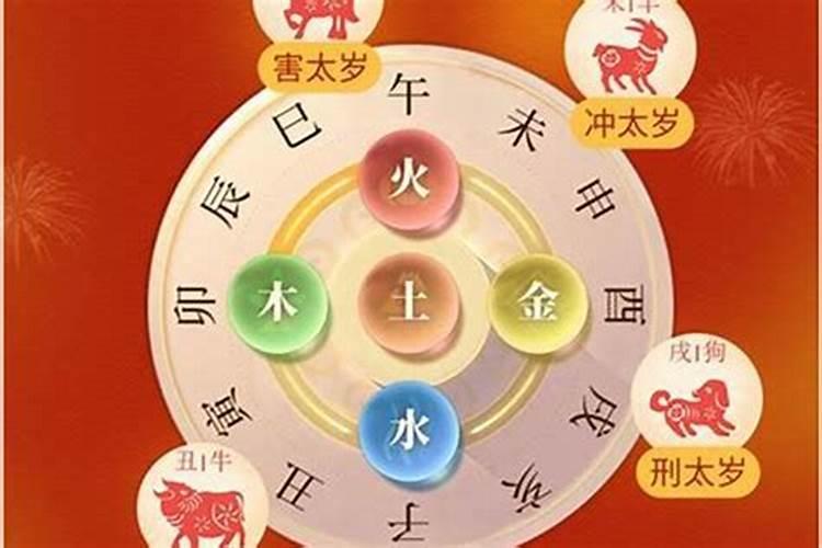 属虎的今年犯太岁吗？2020？