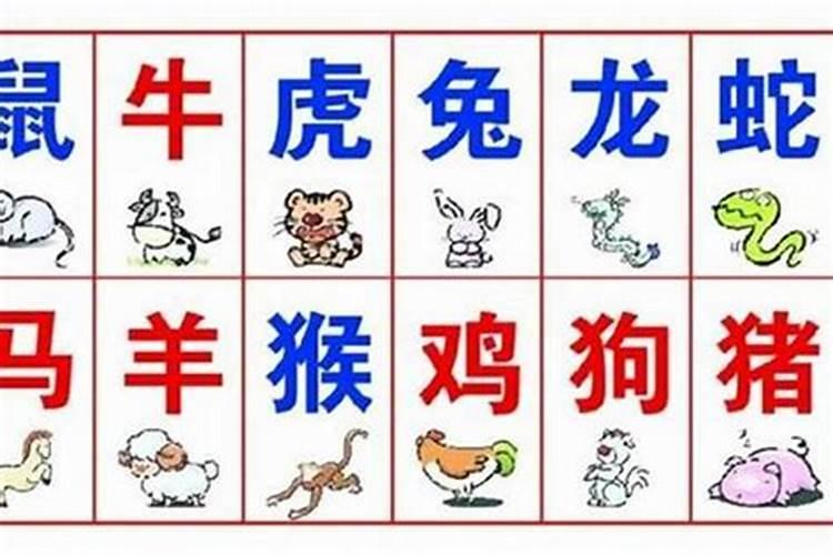 假从儿格八字案例